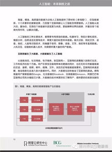 阿里云研究報告解讀 人工智能——未來制勝之道，聚焦應用軟件開發