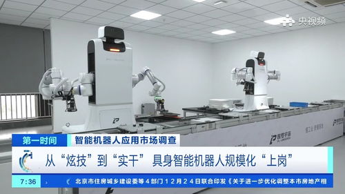 200元一天就能帶個(gè)機(jī)器人回家，具身智能加速走進(jìn)生活與工廠——廣西軟件開發(fā)的機(jī)遇與挑戰(zhàn)